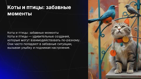 коты, птицы, смешно