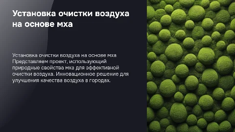 Старт-ап проект "Установка очистки воздуха на основе мха"