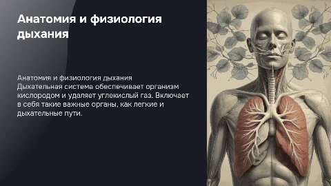 Анатомия и физиология дыхательной системы