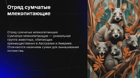 отряд сумчатые млекопитающие