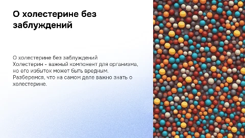 О холестерине без заблуждений