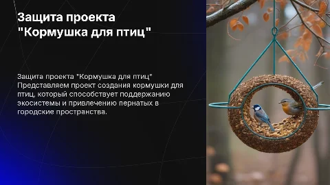 Защита проекта,проект "кормушка дл птиц"