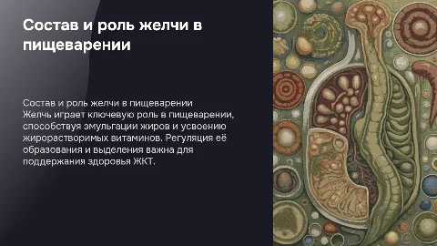 Состав желчи и её роль в пищеварении: презентация