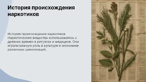 История происхождения наркотических веществ