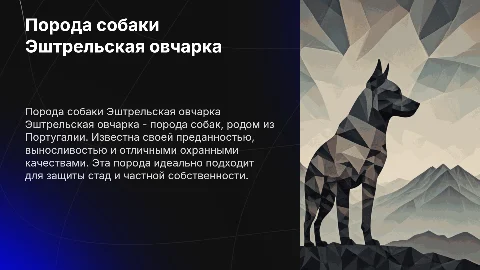 Порода собаки Эштрельская овчарка