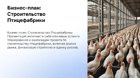 Бизнес-план Строительство Птицефабрики