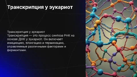 транскрипция у эукариот