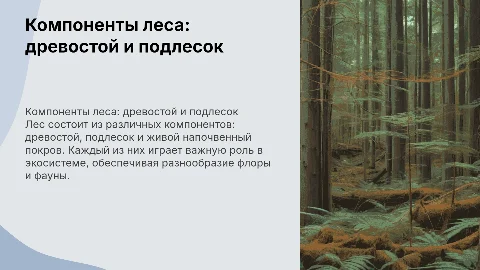 компоненты леса: древостой, подлесок, живой напочвеyный покров