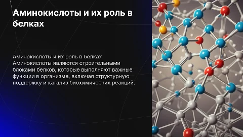 аминокислоты. белки