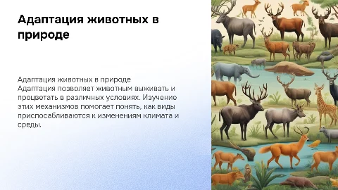 Адаптация животных в среде обитания