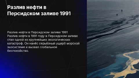 Разлив нефти в персидском заливе 1991 года