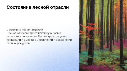 Справочная информация о состоянии лесной отрасли