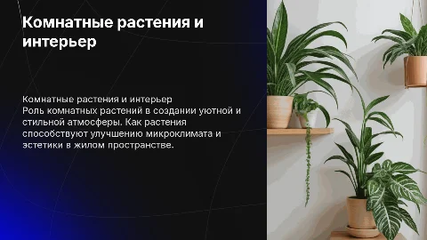 комнатные растения в интерьере