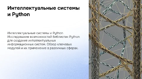Интеллектуальные информационные системы и библиотеки Python
