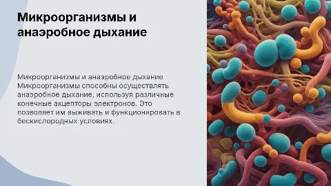 Микроорганизмы и виды анаэробного дыхания: презентация