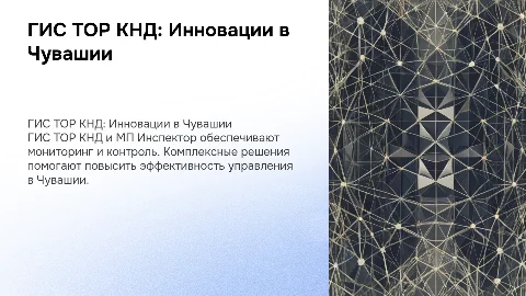 ГИС ТОР КНД, МП Инспектор в Чувашии