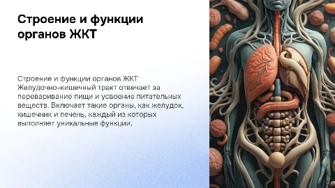 Строение и функции органов ЖКТ
