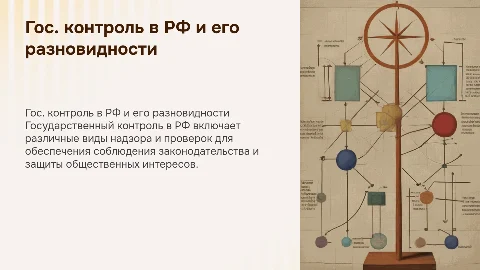 Государственный контроль в Российской Федерации и его виды