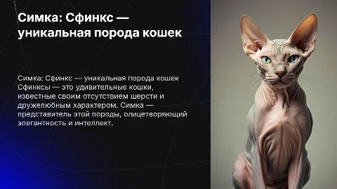Сфинкс: Презентация о кошке Симке и её породе