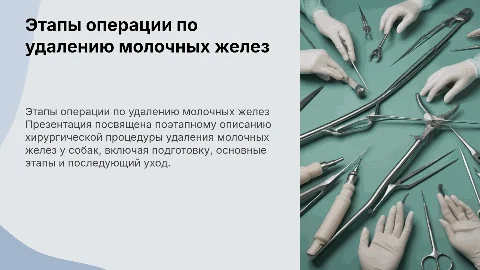 Операция по удалению молочных желез у собаки поэтапно