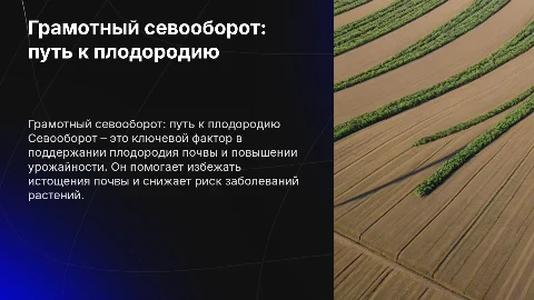 Грамотный севооборот-залог плодородия и высокого урожая