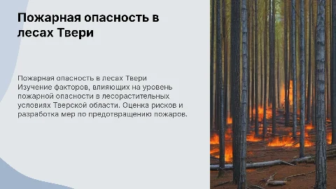 Пожарная опасность в лесах Тверской области: анализ и меры