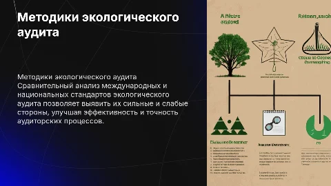 Методики экологического аудита: международные и национальные стандарты