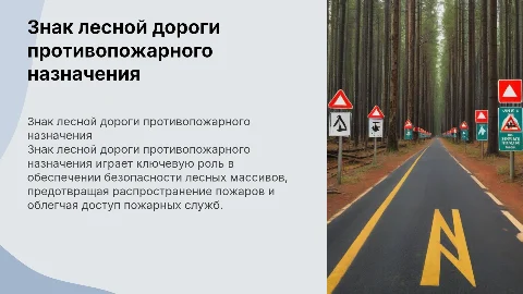 знак лесная дорога противопожарного назначения