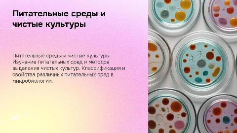 Питательные среды и методы выделения чистых культур