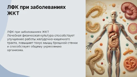 Лечебно-физическая культура при заболеваниях ЖКТ