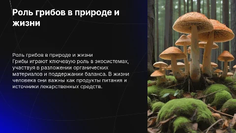 роль грибов в природе и жизни человека