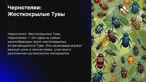 Чернотелки.Отряд Жесткокрылые Тувы
