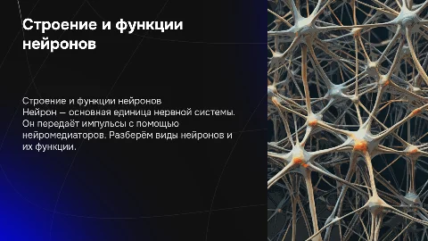 Строение нейрона и механизм передачи импульса