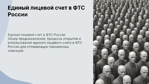 Единый лицевой счет в ФТС России: предназначение и использование