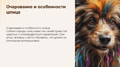 Собака Шпиц