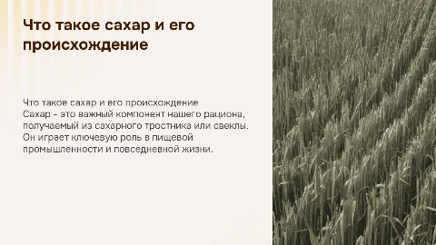Что такое сахар и откуда он берется